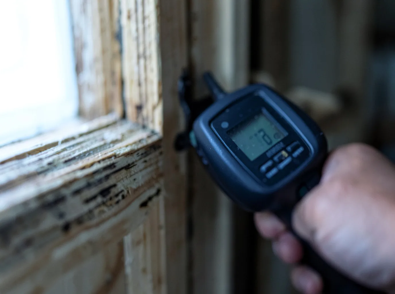 Moisture Inspection And Documentation in Liberty, TN